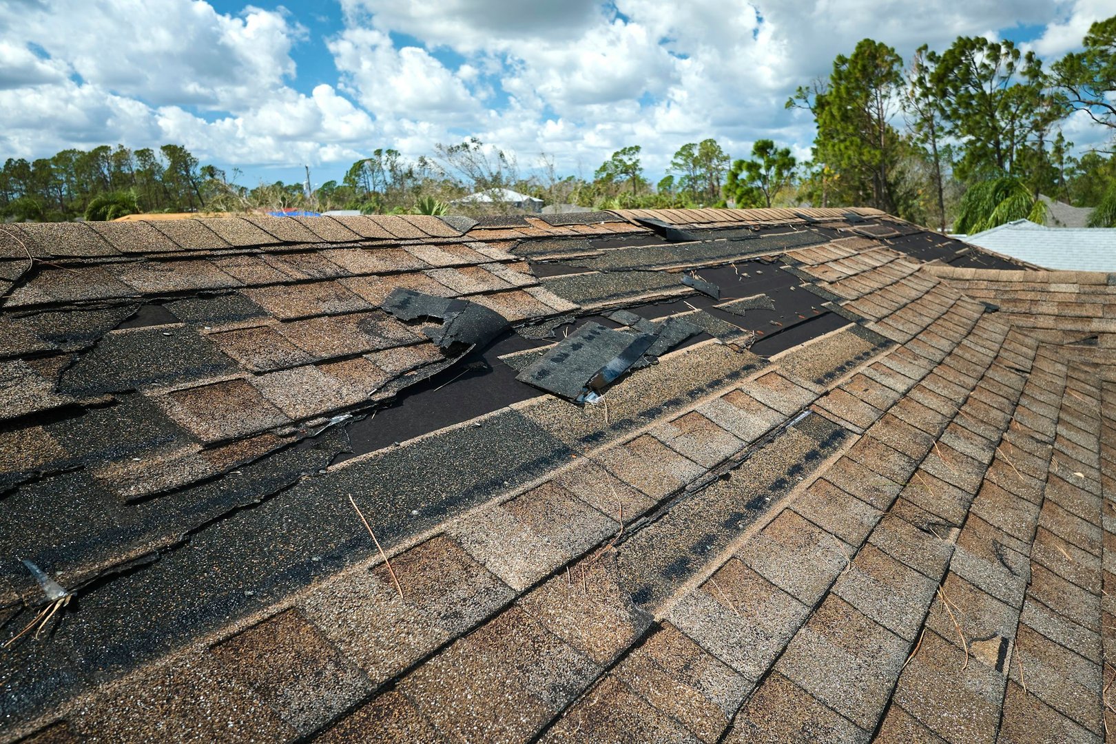 Asphalt shingles in Delaware