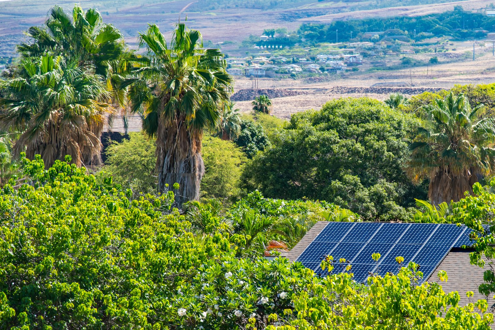 Automatic solar panel cleaner