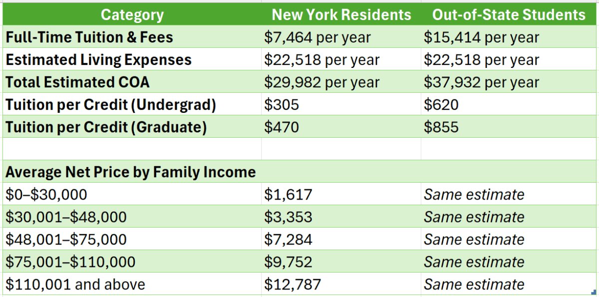 Baruch college online bachelor's degree