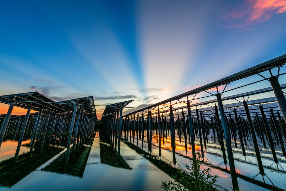Best Solar Installer Near Me