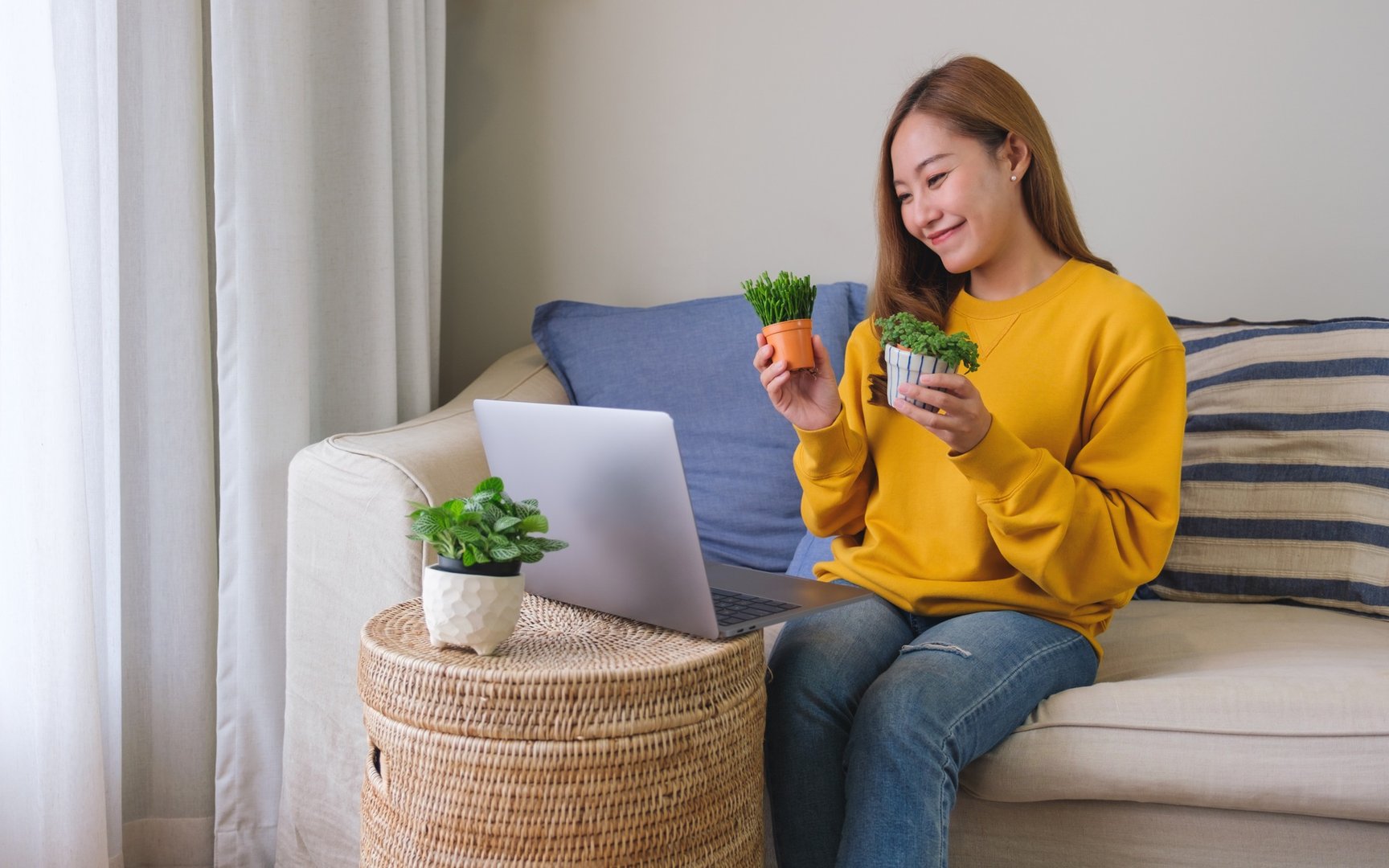 biology bachelor's degree online