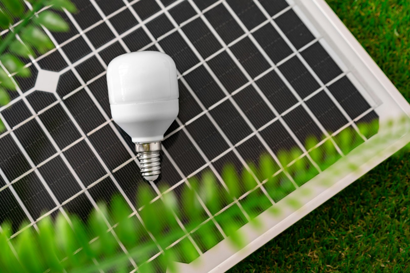 Bird guard for solar panels