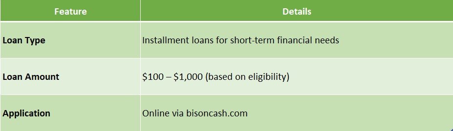 bison cash loan