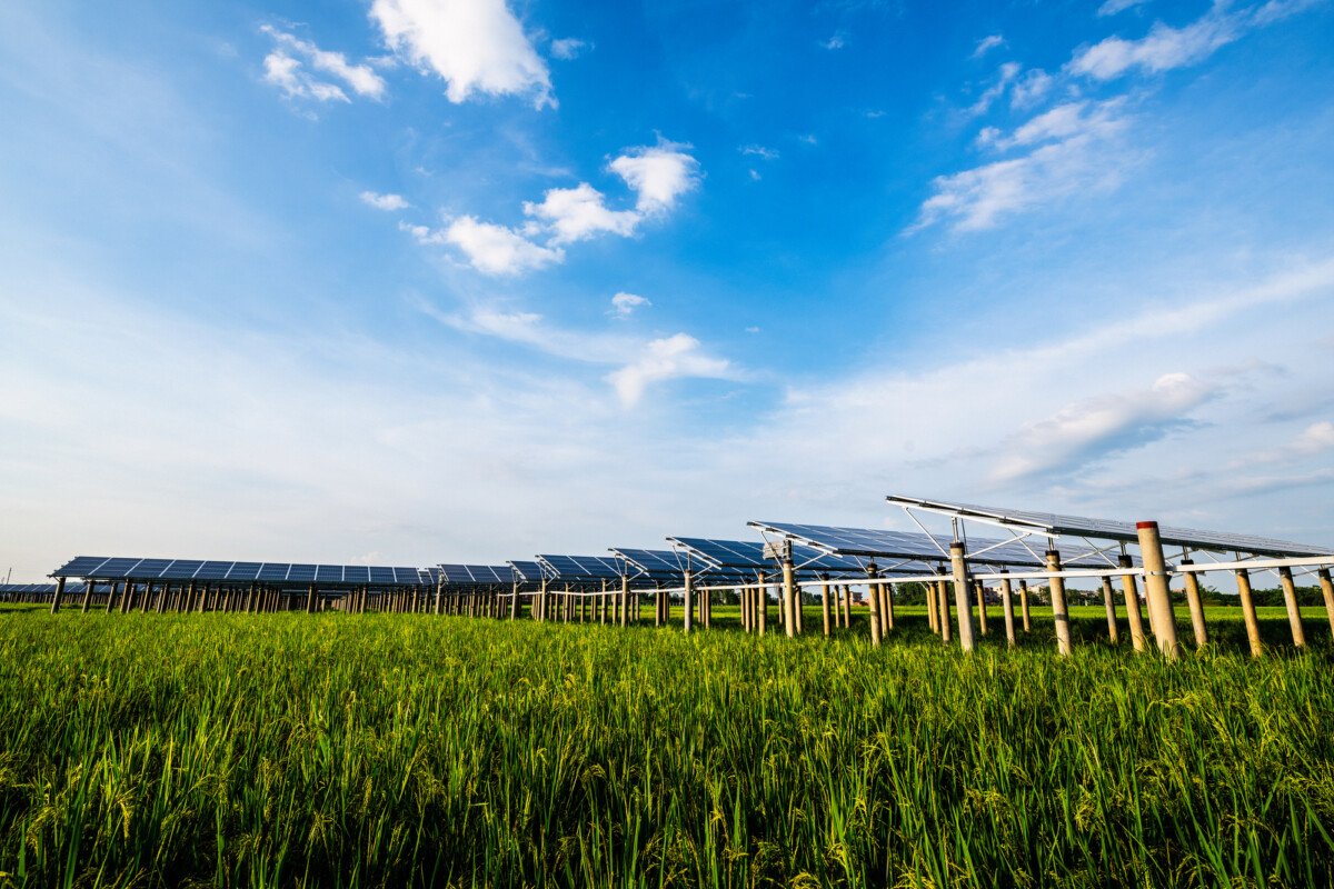 Professional Solar Panel Cleaning