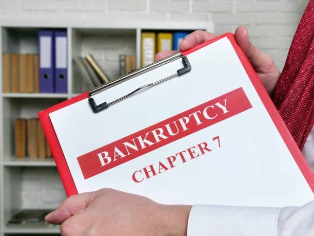 Avoid When Filing Chapter 7 Bankruptcy Alone