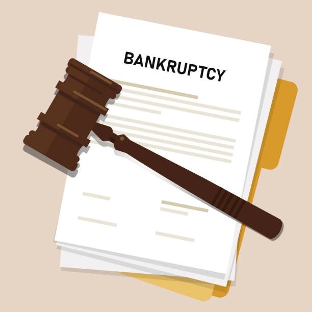 Can You File Bankruptcy Without a Lawyer? Know the Truth