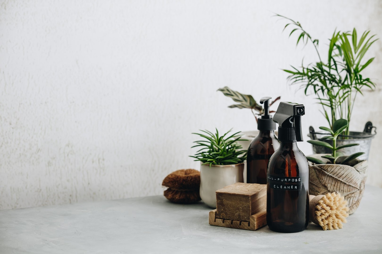 Various items and ingredients for eco home cleaning and house plants