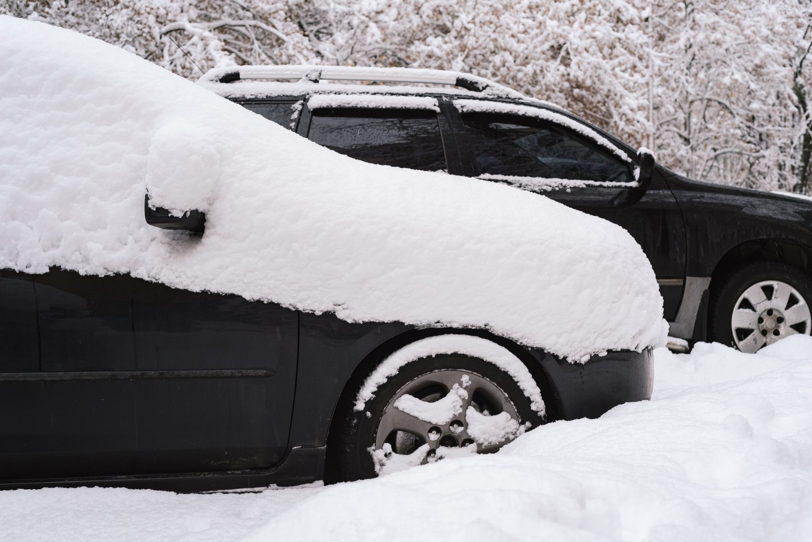 Coastal driver car insurance challenges