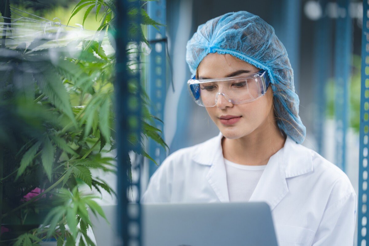 Data Scientist Programs