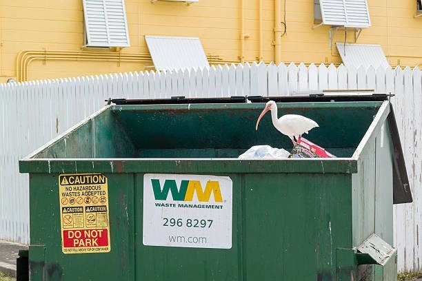 illegal to dumpster dive