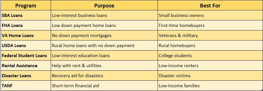 Government Assistance Loan Programs