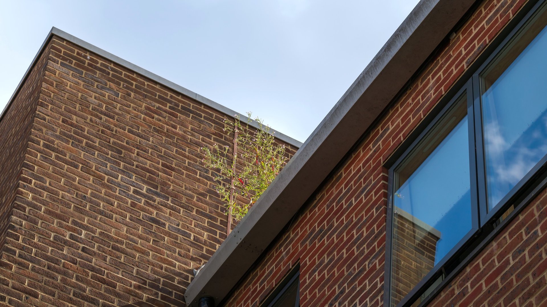 Low angle view at gutter with plants.
