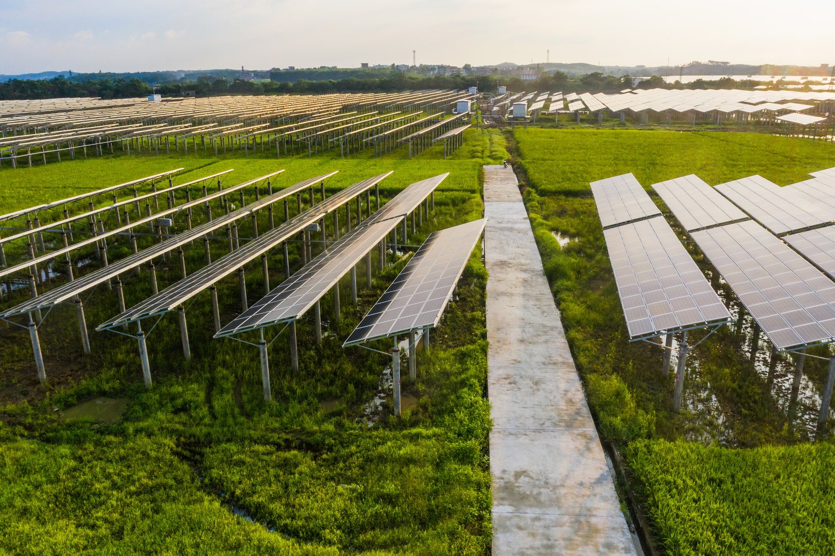 Invest in a solar power plant for your business