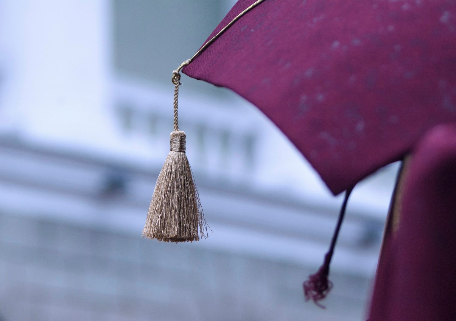 liberty university masters online