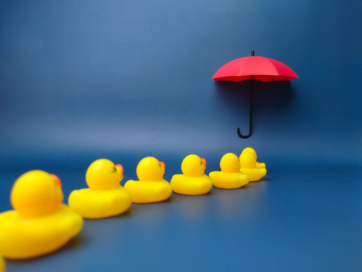 Life Insurance Trust