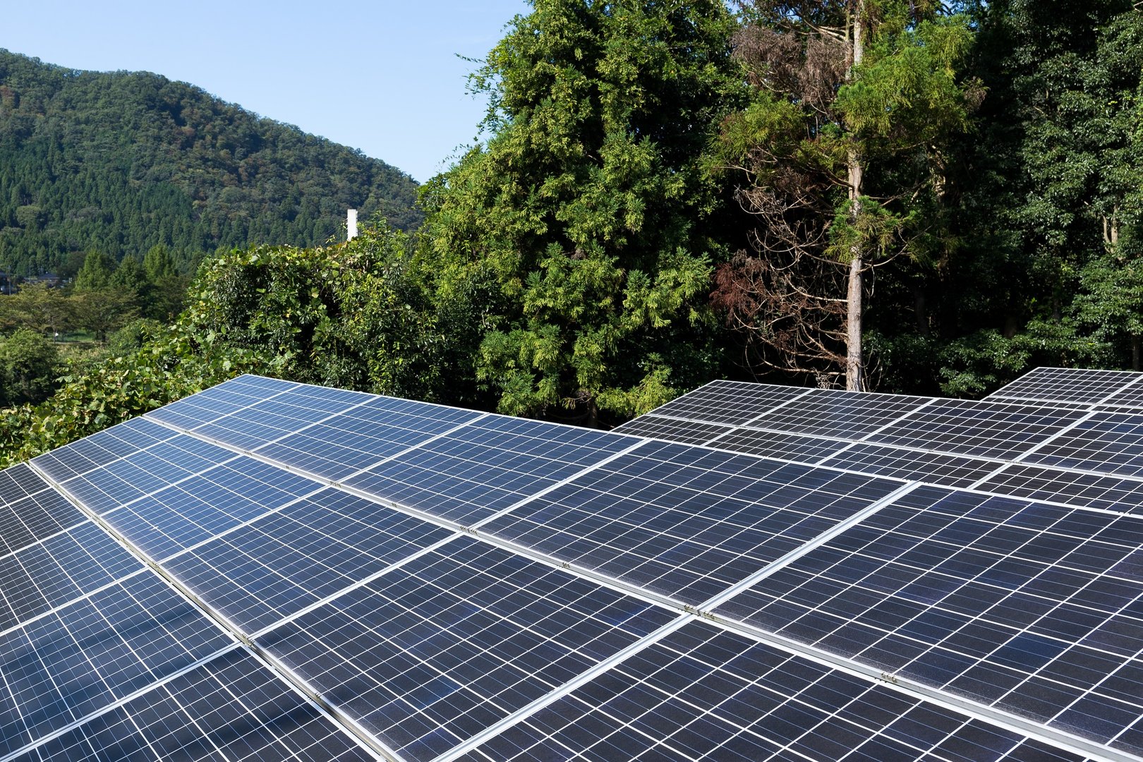 Lion Energy solar panels