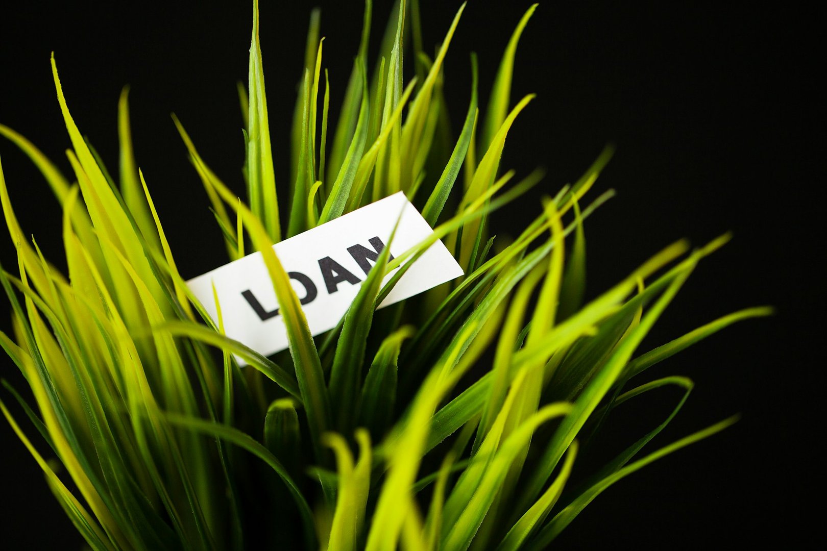 Credit concept. Loan written on white card.
