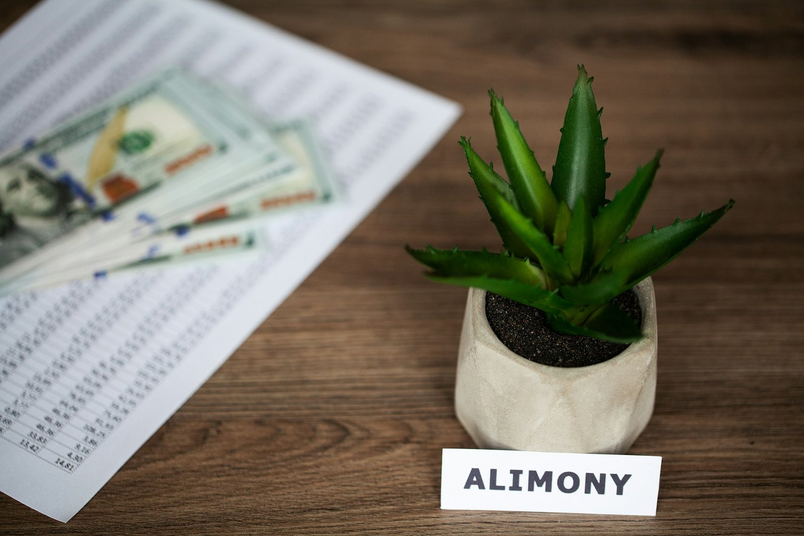 personal loans for adoption expenses