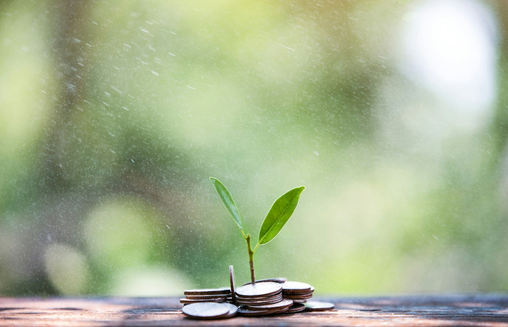 Personal Loans for Excellent Credit