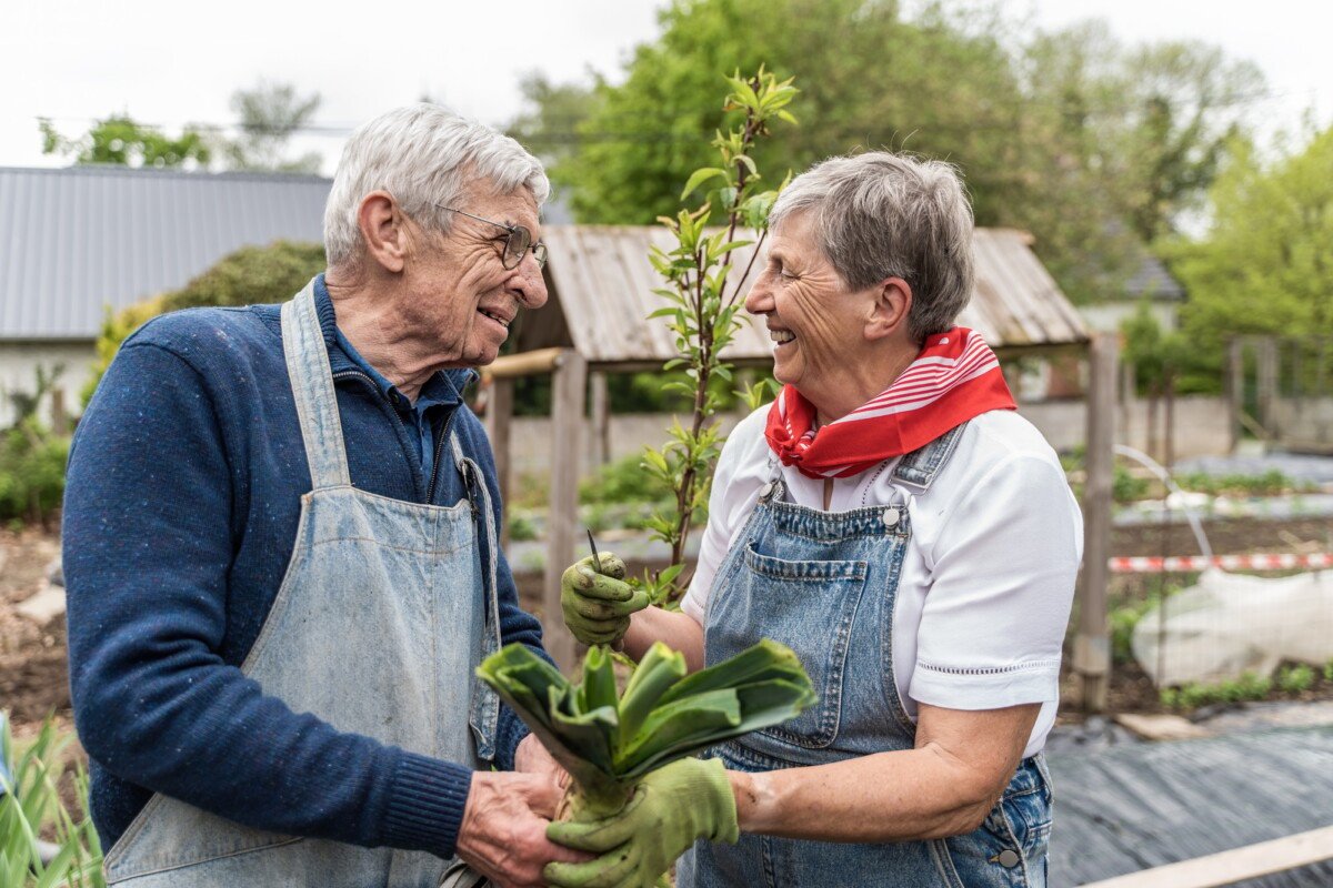 Renewable term life insurance