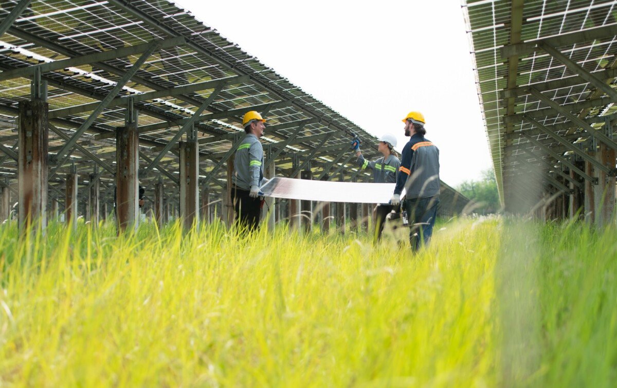Solar Panel Repair Cost
