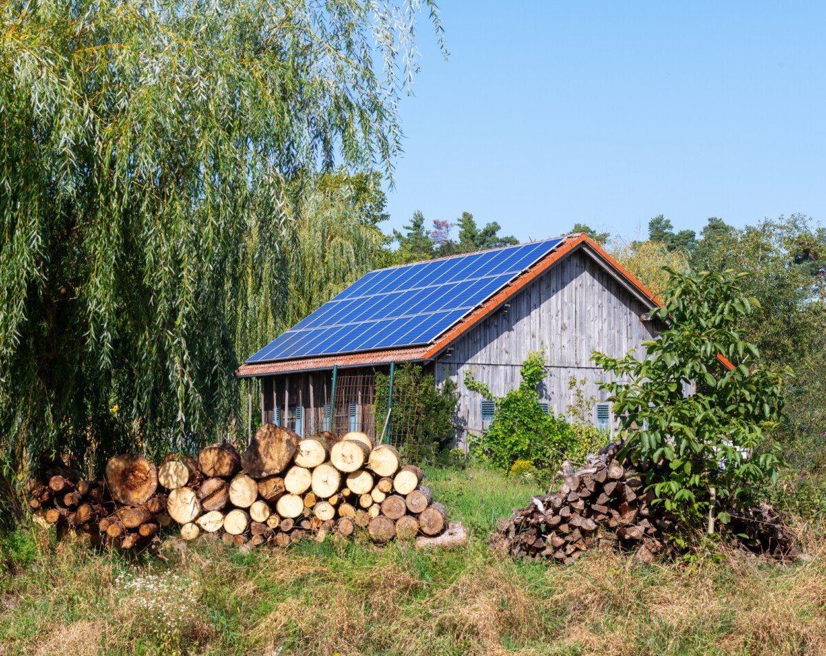 Balancing Cost and Efficiency in Solar Panel Selection