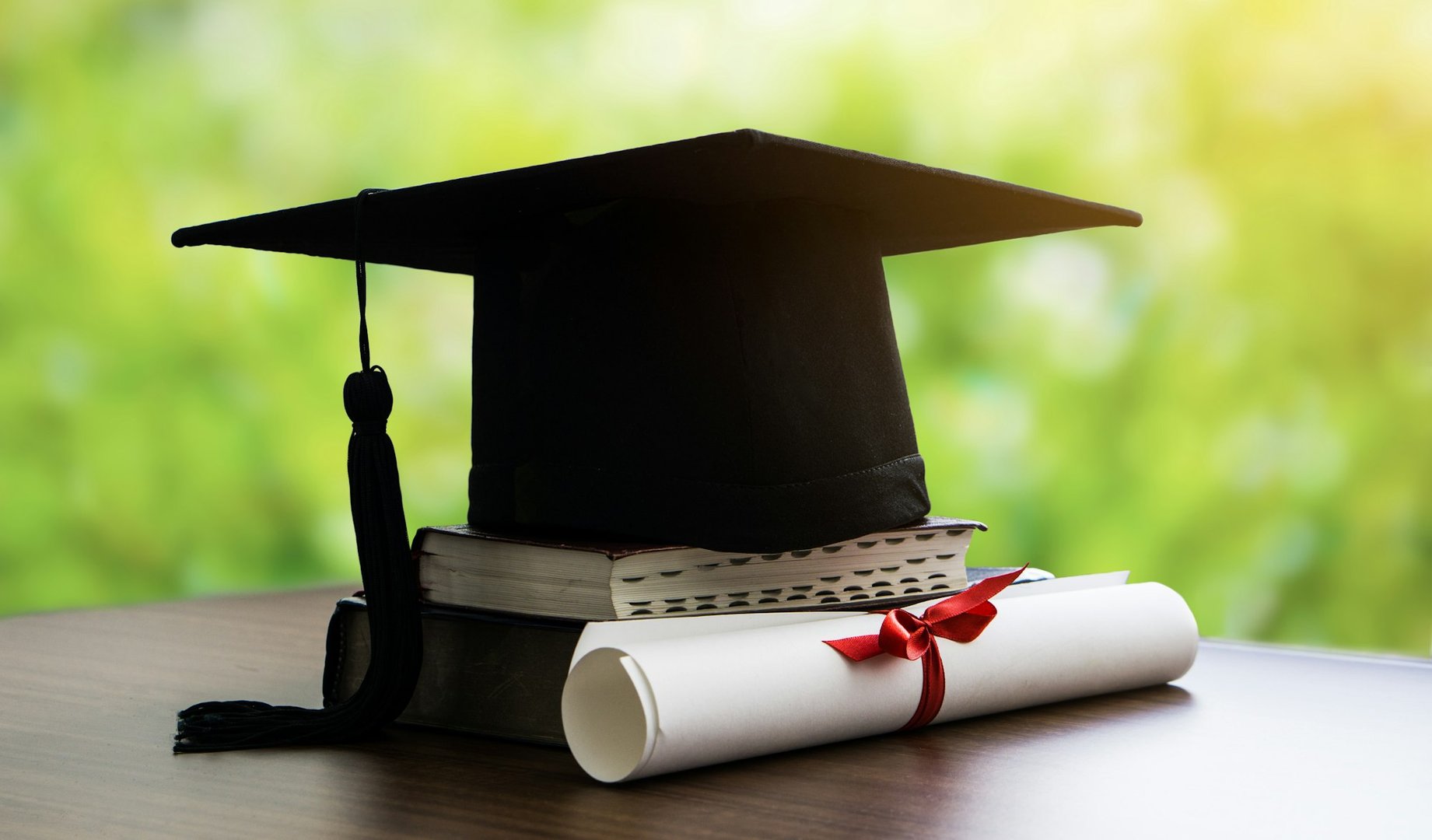 speech pathology degrees online