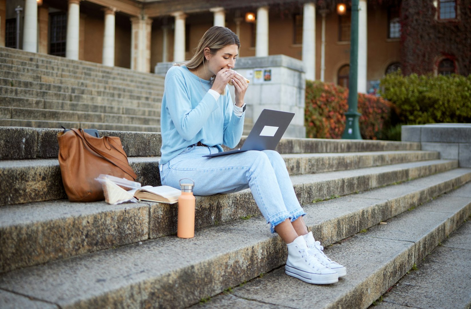 univ of phoenix online degrees