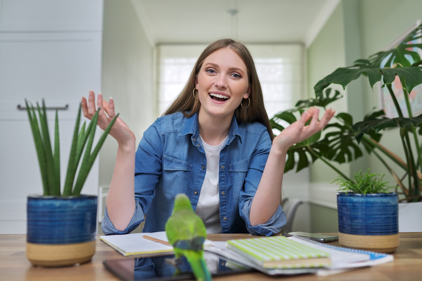 washington university online degrees