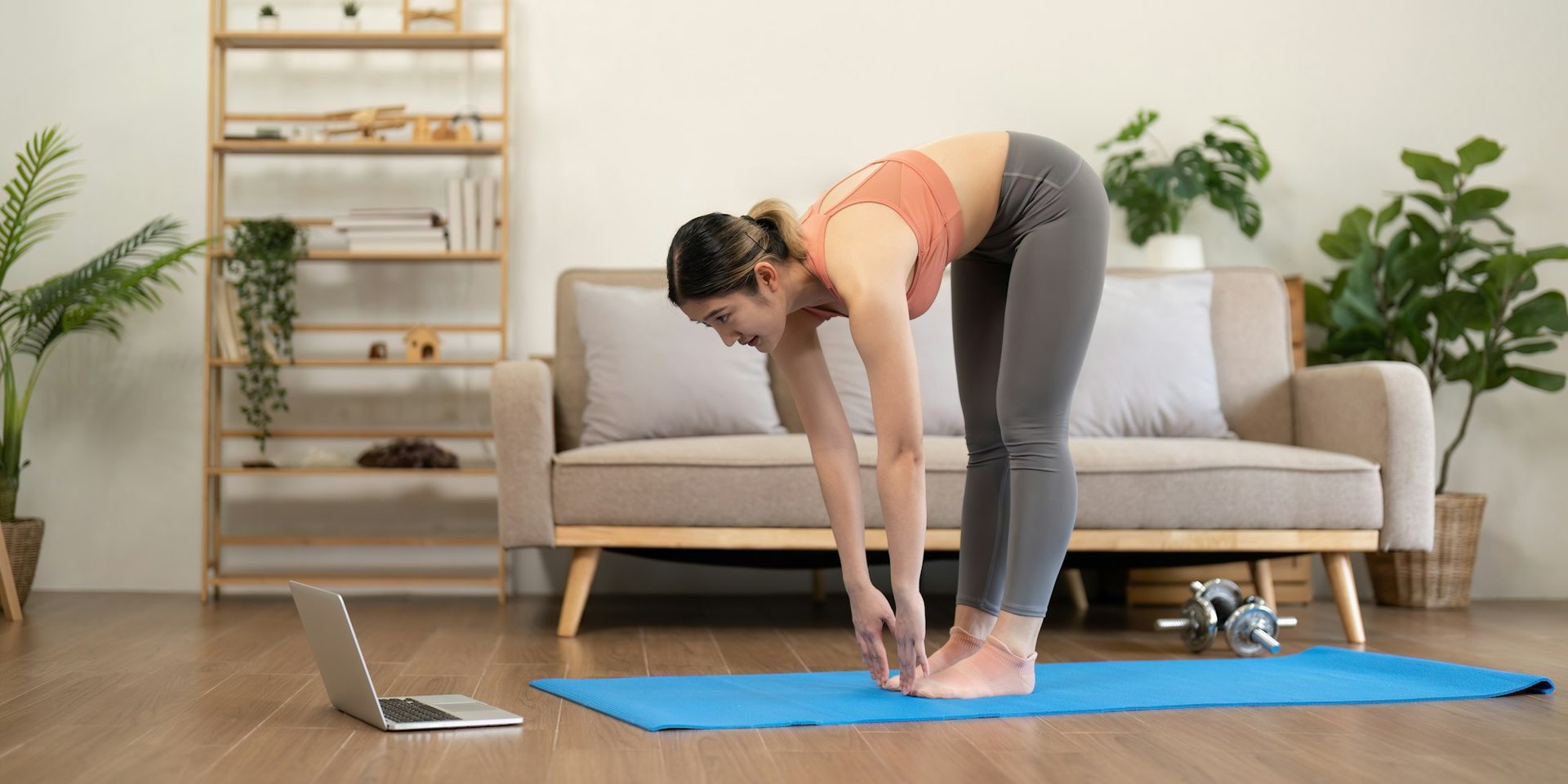wellness degrees online