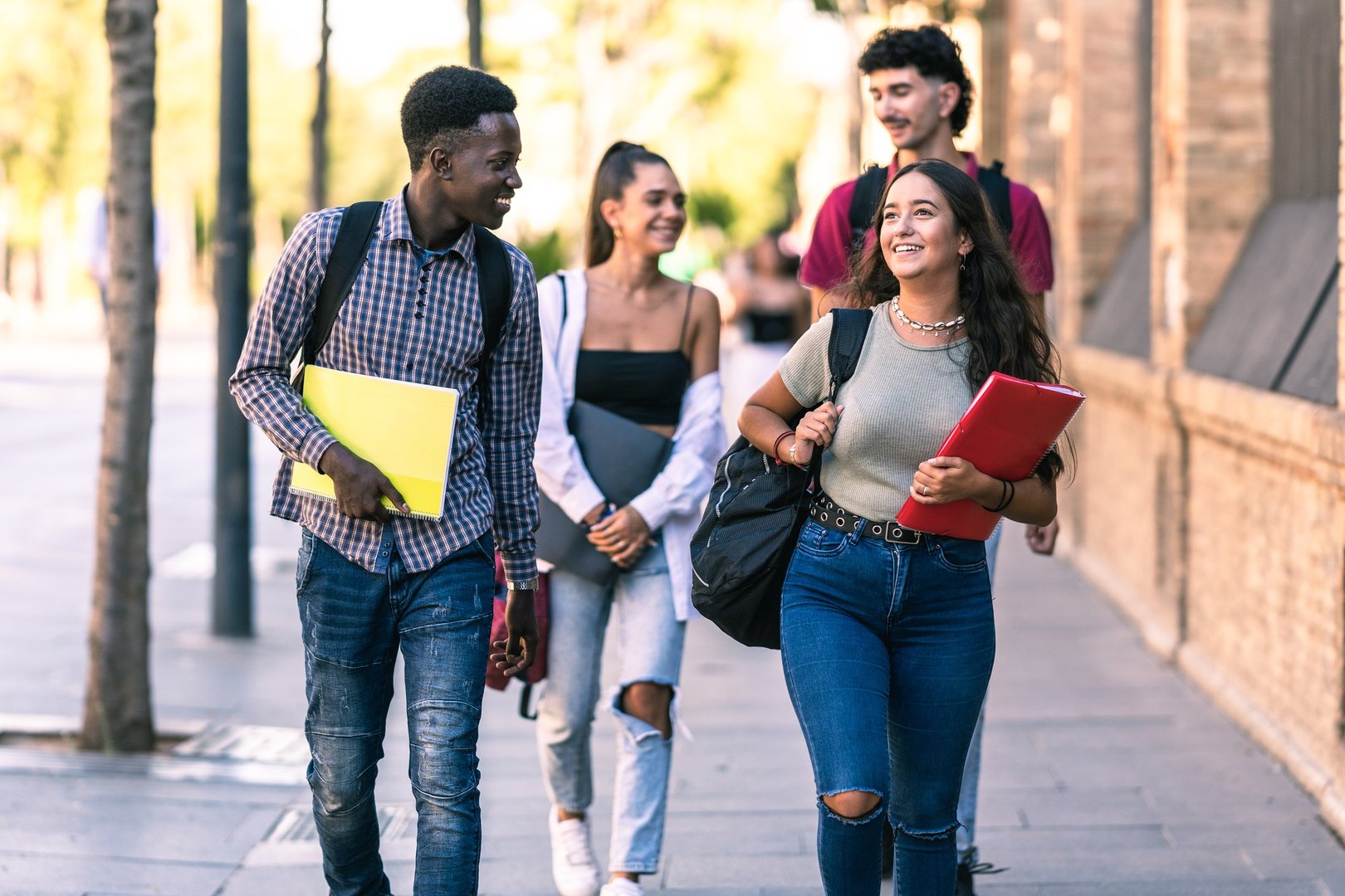 what are the 4 types of degrees