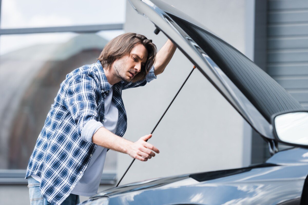 Auto Insurance Quotes
