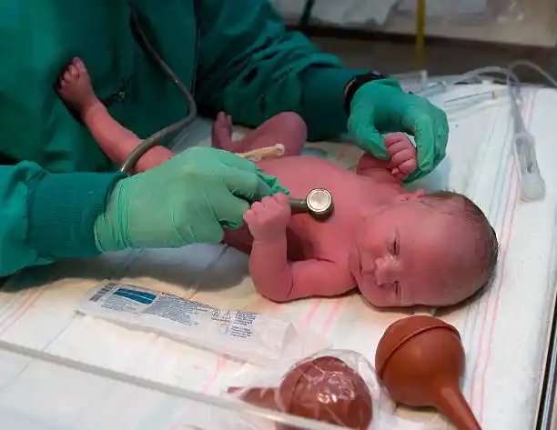 nec baby formula lawyer