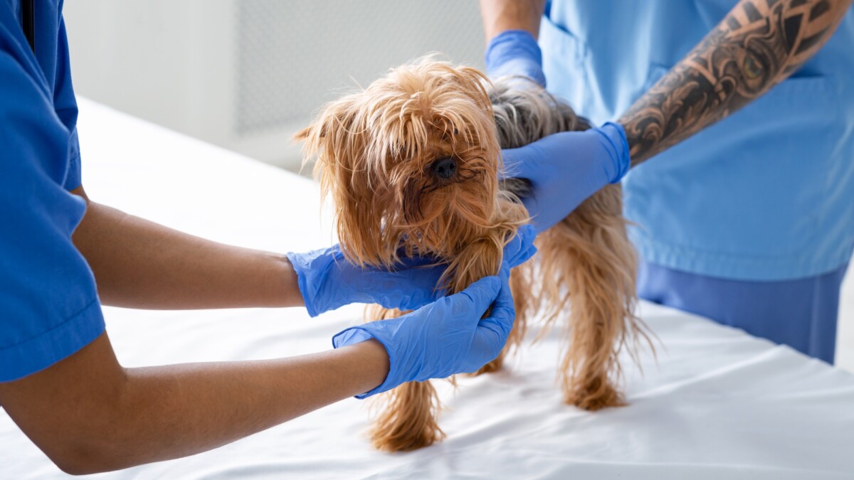 Why You Should Schedule Your Annual Physical Exam Near Me: A Comprehensive Guide