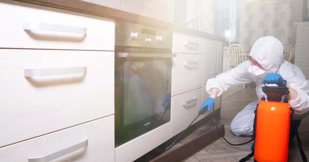 Ant Extermination Services