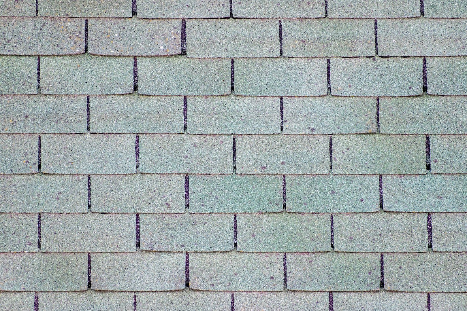 asphalt shingles in Kentucky