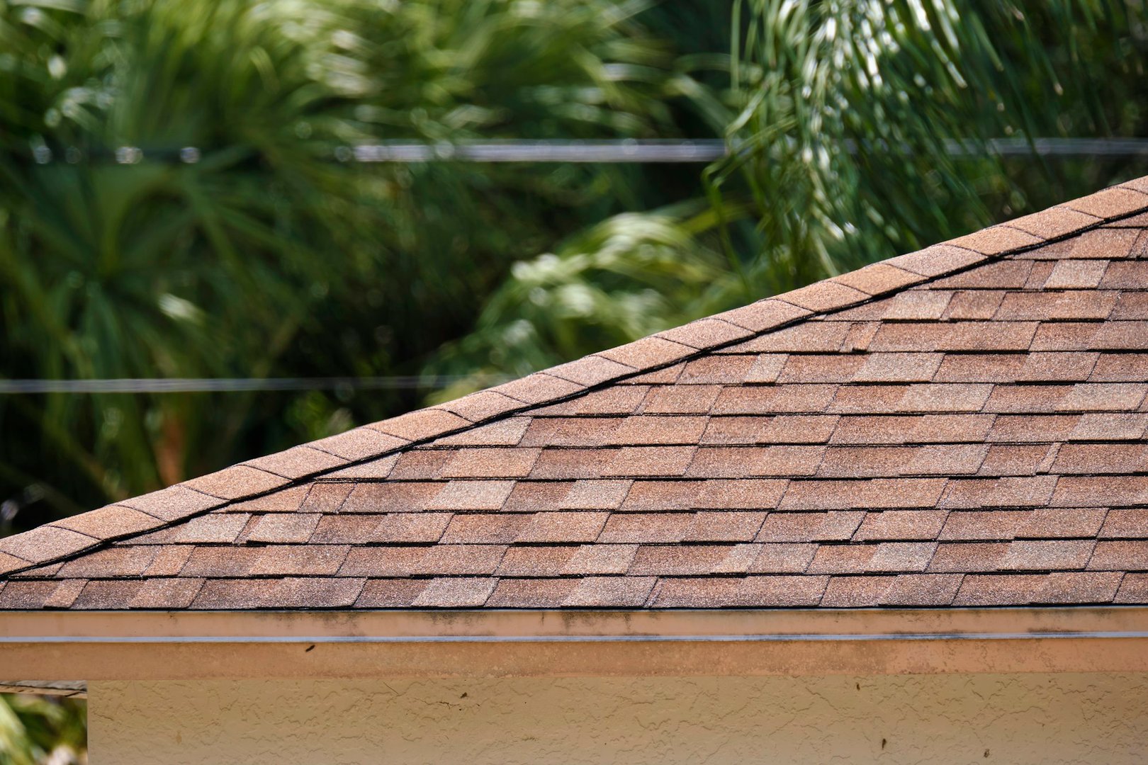 Asphalt shingles in Mississippi