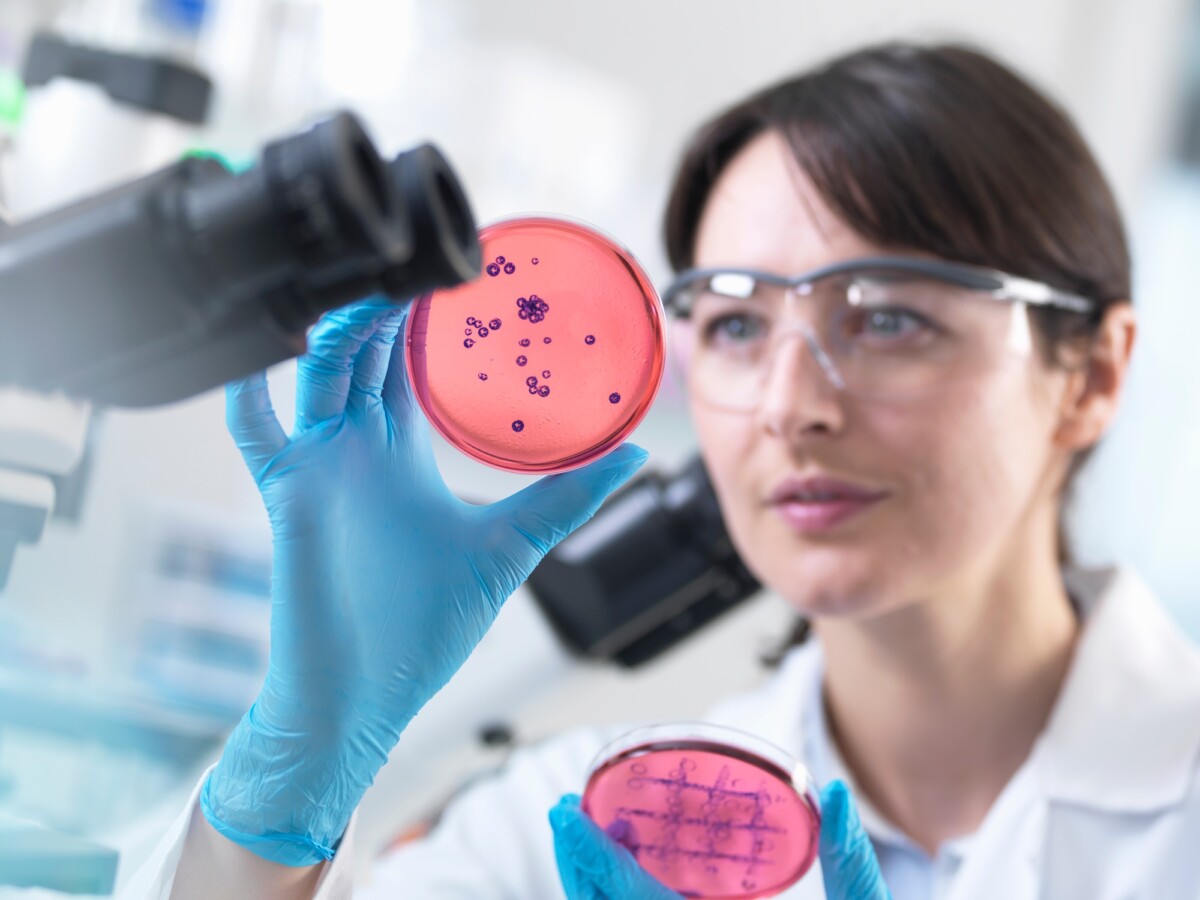 Bacterial Vaginosis vs Trichomoniasis Understanding the Key Differences and Treatments