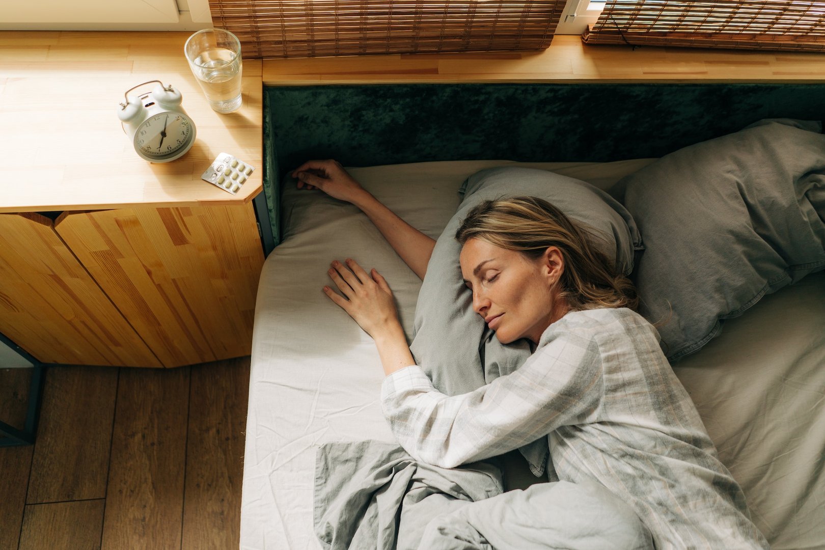 Bed Bug Treatment