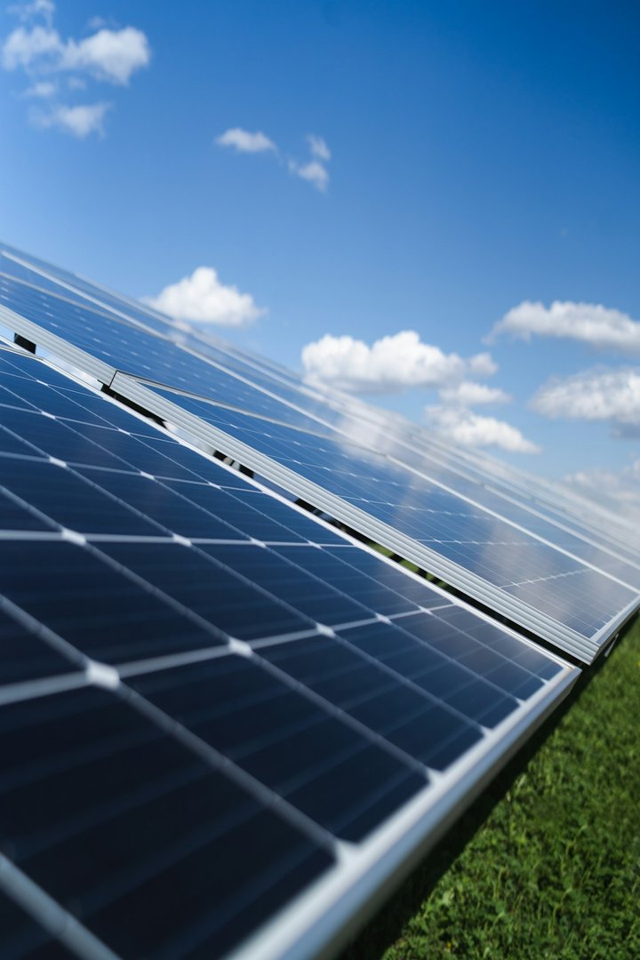 Bird guard for solar panels