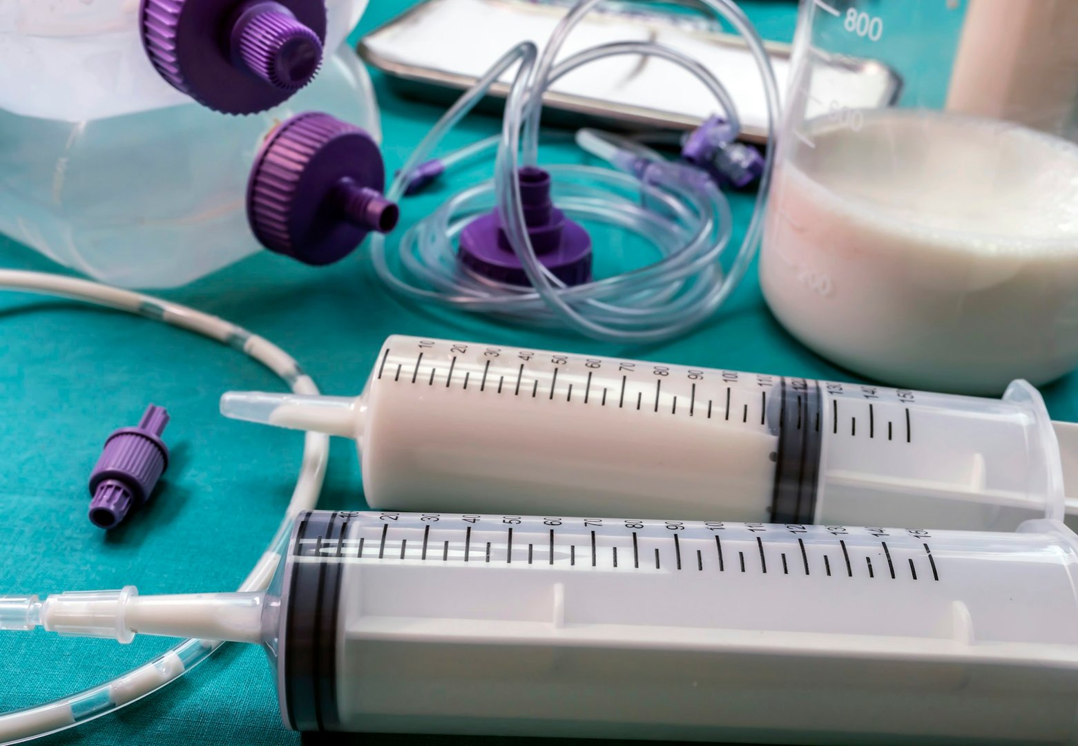 palliative care medicare