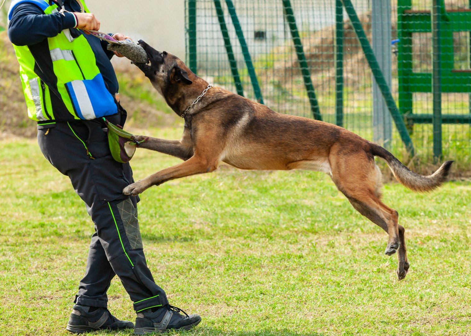 Dog Attack Lawyers Near Me