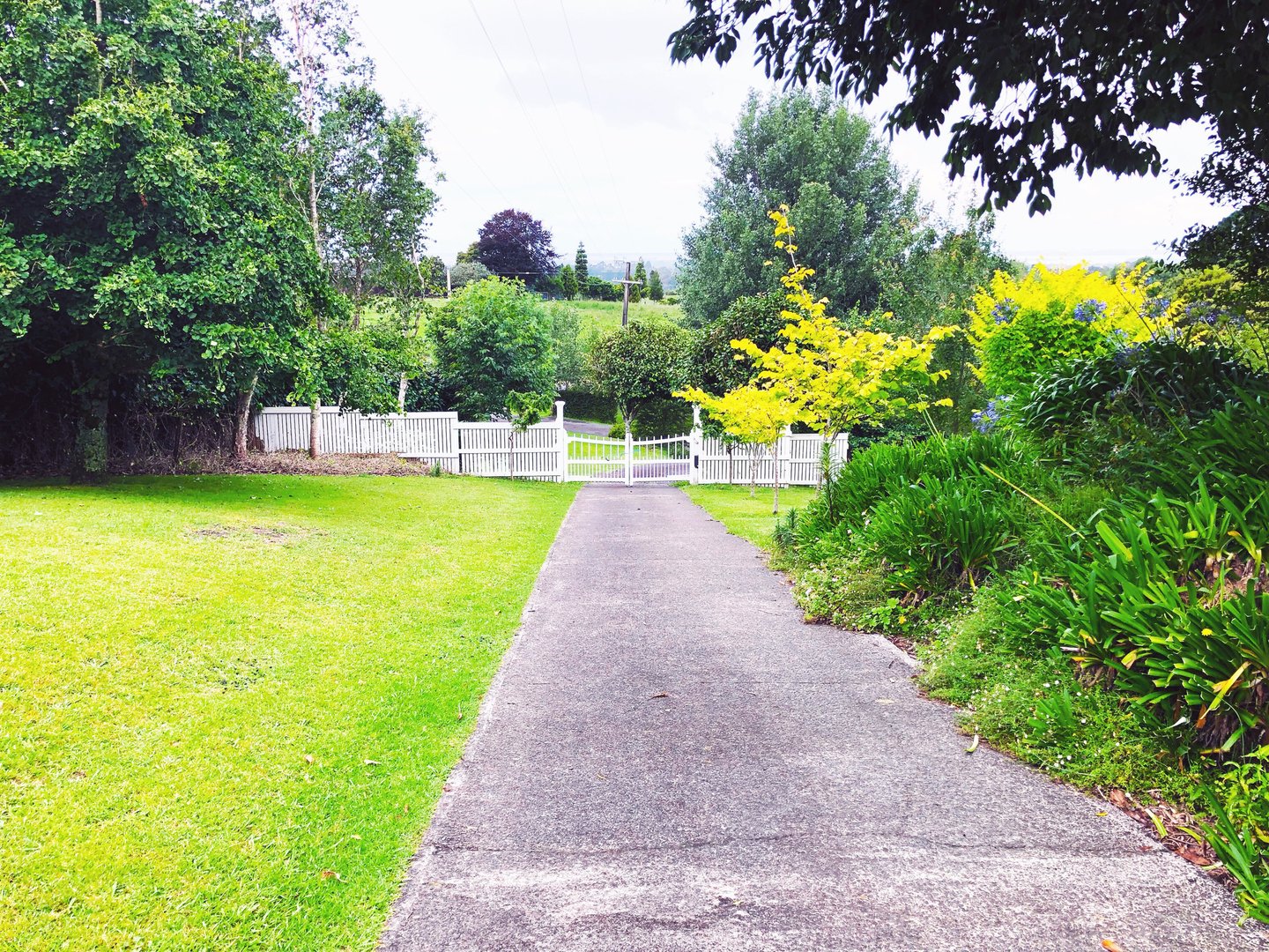 Property gate and driveway