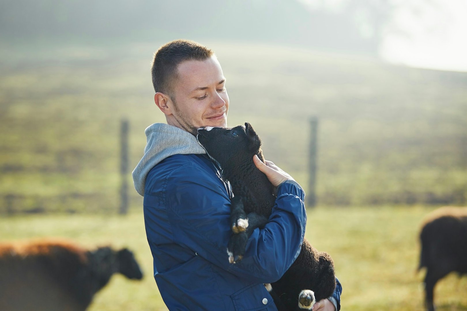 farmers life insurance