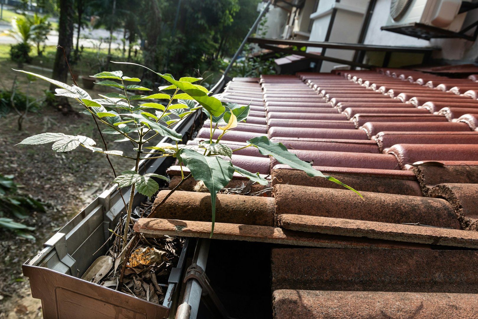 Gutters and drainage in Rhode Island