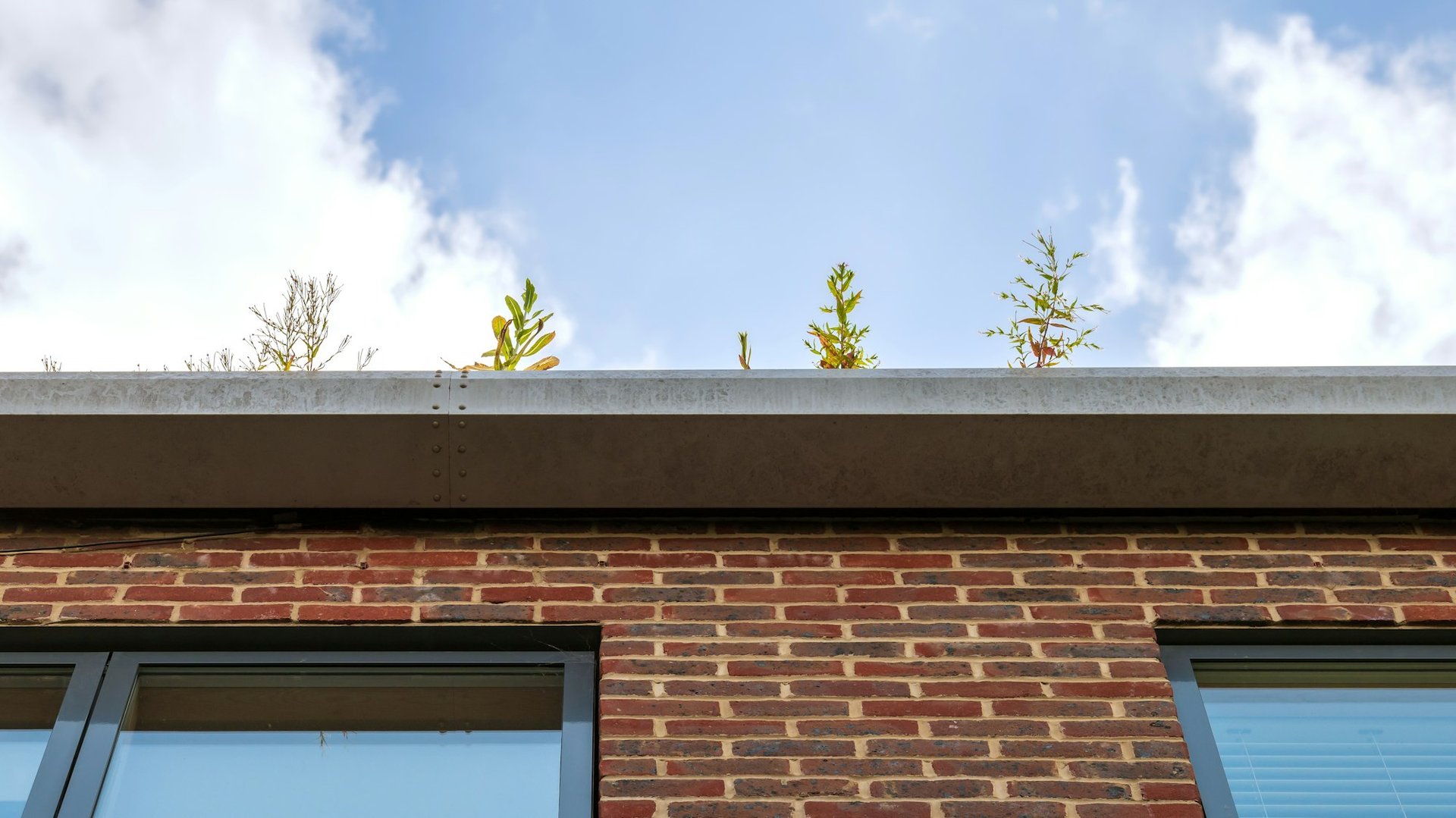 Gutters and drainage in North Dakota