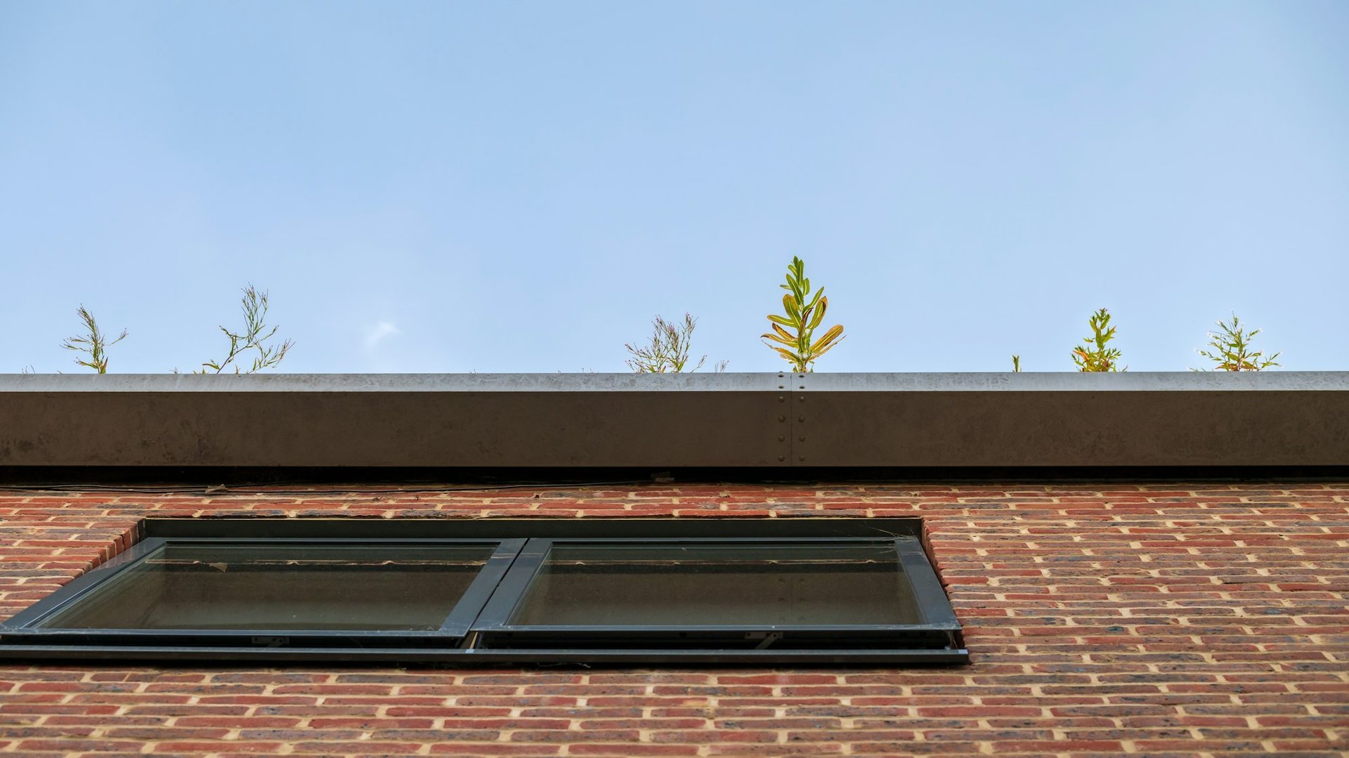 Gutters and drainage in Tennessee