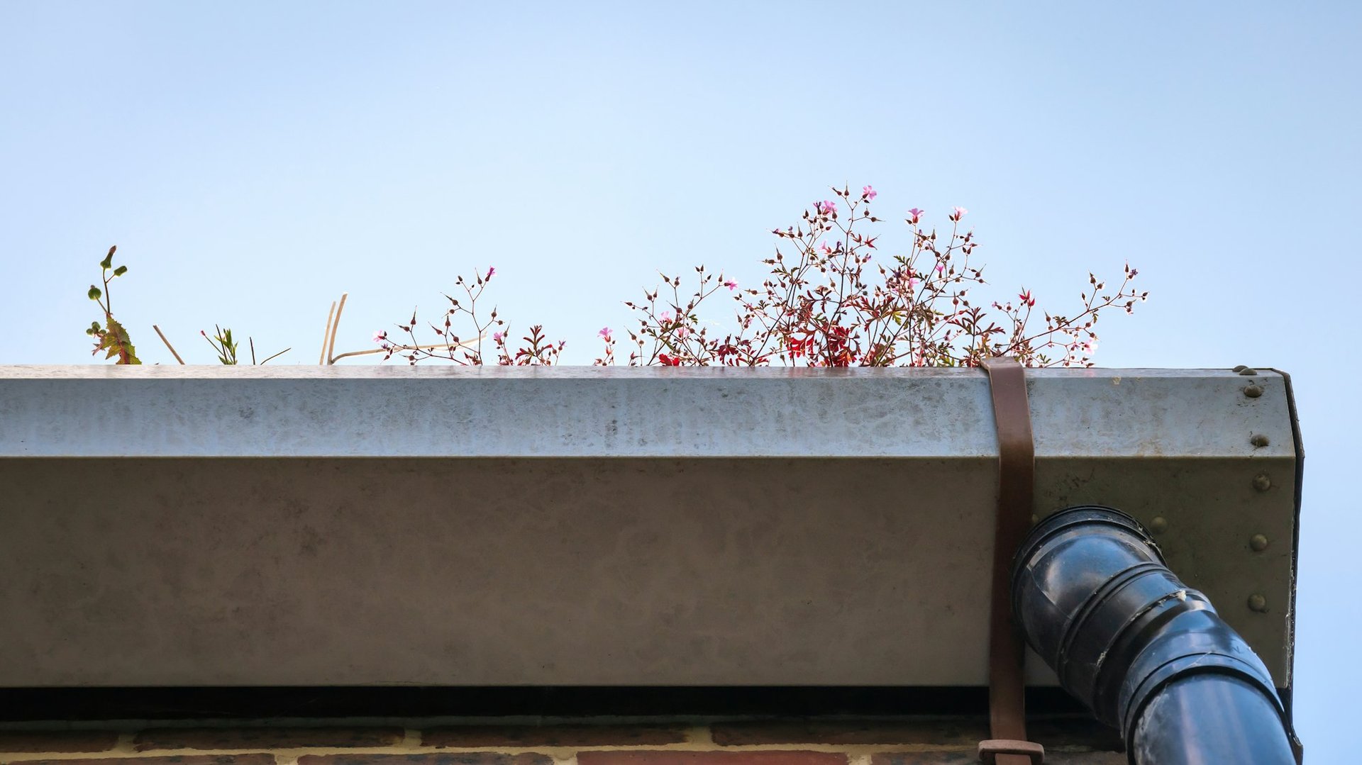 Gutters and drainage in Wyoming