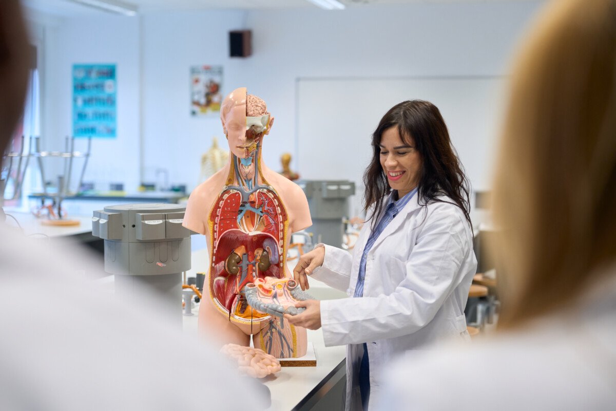 Smiling medical teacher explaining human anatomy to students using an anatomical model during a biology lesson at…