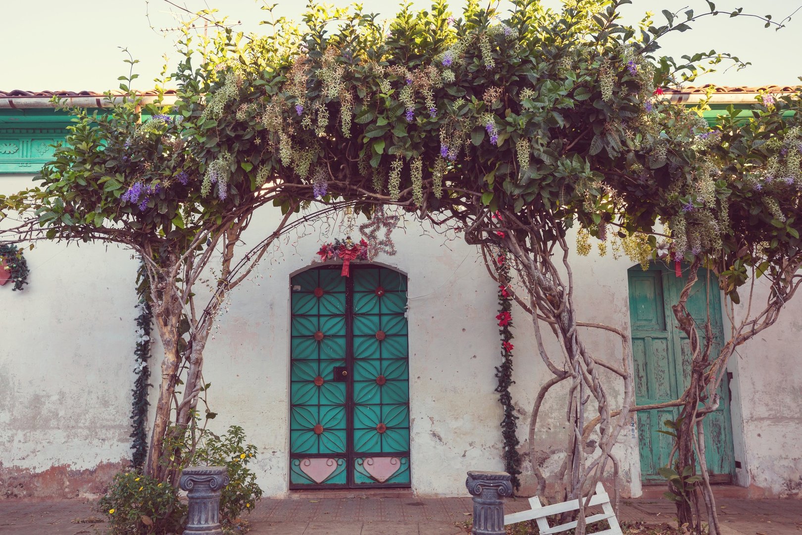 Door